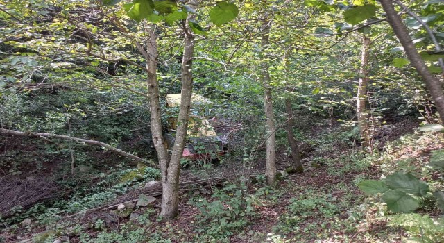 Orduda iş makinesi şarampole devrildi: 1 ölü