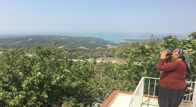 Ormana adanmış bir ömür