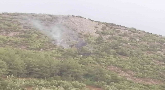 Ormanlık alana düşen yıldırım yangın çıkardı