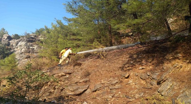 Ormanlık alanda çıkan yangın ağaçlara sıçramadan söndürüldü