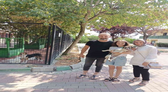 Osmangazide 3 can dosta sıcak yuva