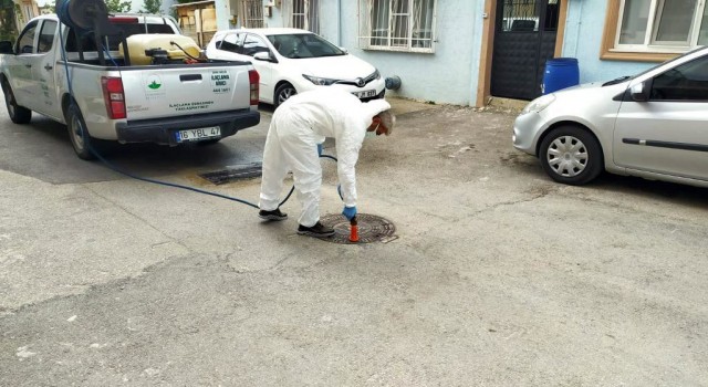 Osmangazide ilaçlama çalışmaları sürüyor