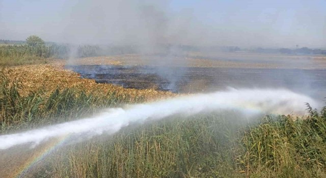 Osmaniyede çıkan anız yangını söndürüldü
