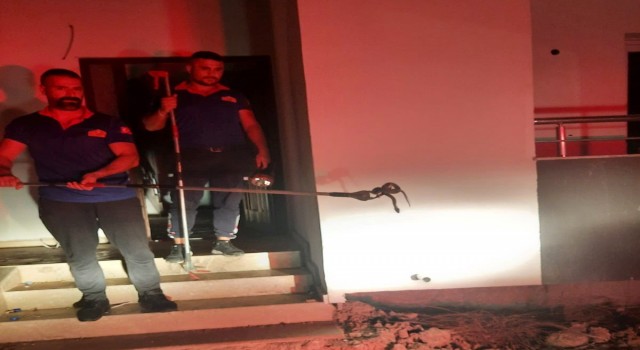 Osmaniyede eve giren yılanı itfaiye yakaladı