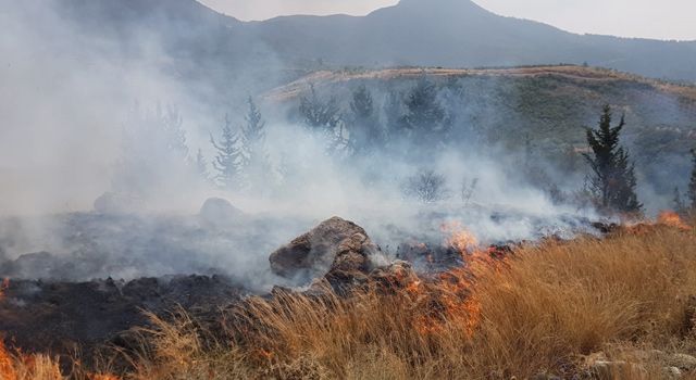 Osmaniye'de Orman yangını büyümeden söndürüldü