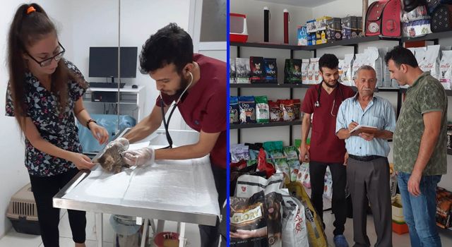 Osmaniye'de Sokak hayvanları için Veteriner klinikleri nöbette!