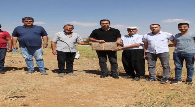 Osmaniyeden Darendeye Arıcılık göçü