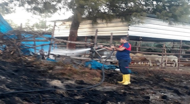 Otluk alanda çıkan yangın ağıla ulaşmadan söndürüldü