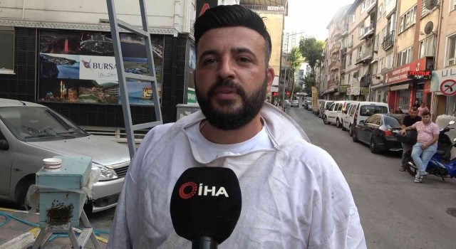 (Özel) Bursada kraliçe arı ortalığı karıştırdı