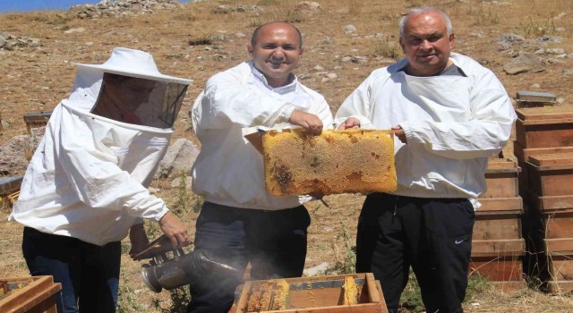 Petekler balla doldu, üreticinin yüzü güldü