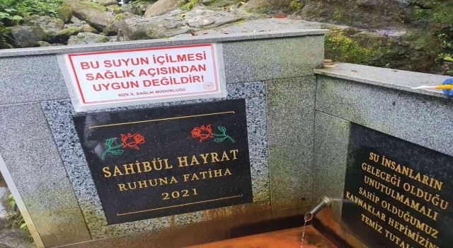 Rizede şifalı diye içilen su zehir çıktı