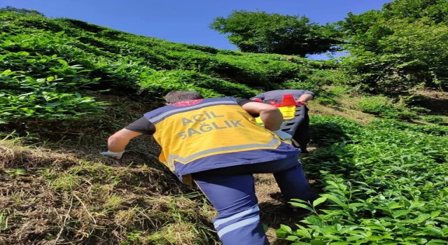 Rizede yamaçtaki çay bahçesinden yuvarlanan şahıs sedye ile 400 metre taşınarak hastaneye sevk edildi