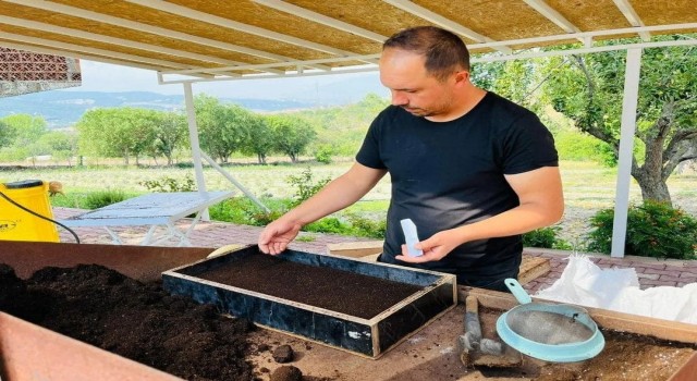 Safranbolu Belediyesi serasında kış hazırlığı