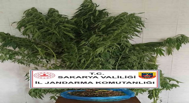 Sakaryada jandarma suça geçit vermiyor