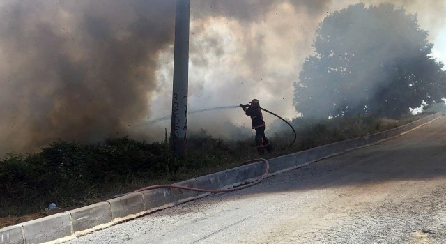 Sakaryada ormanlık alanda korkutan yangın