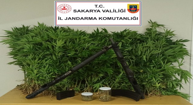 Sakaryada uyuşturucu operasyonu: 2 gözaltı