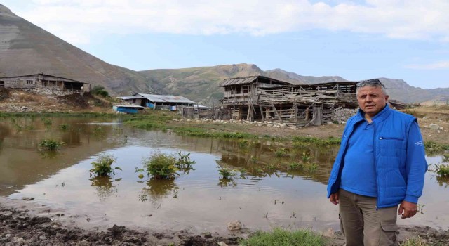 Salaçur Yaylasının turizme kazandırılmasını istiyorlar