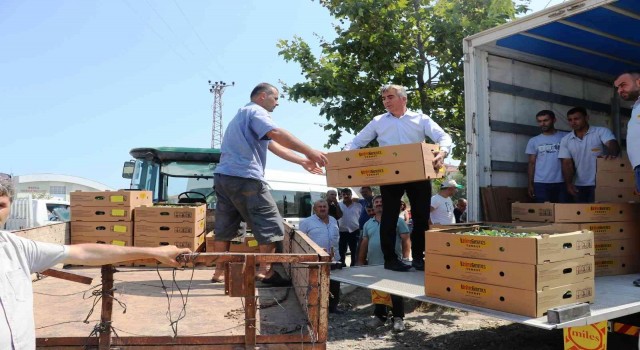 Samsunda 687 bin kışlık sebze fidesi dağıtıldı