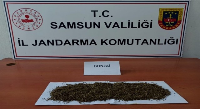 Samsunda uyuşturucu ve kaçakçılık operasyonları: 28 gözaltı