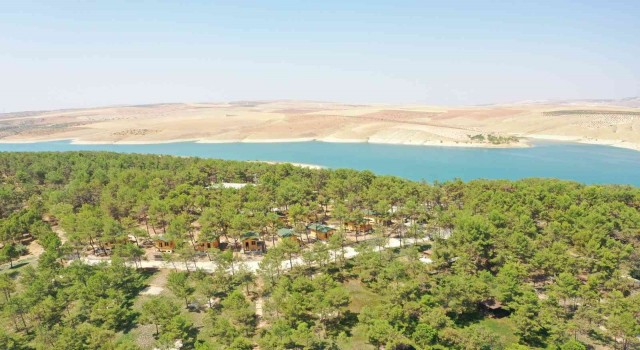 Şanlıurfa doğunun Akdenizi olma yolunda ilerliyor