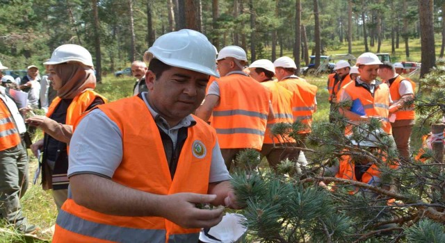 Sarıkamışta Silvikültürel Uygulamaları” eğitimi