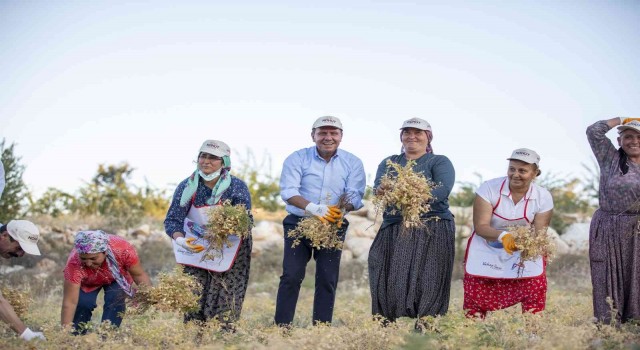 Seçer: Tarımsal üretime katkı sunmak için her türlü desteği yapıyoruz