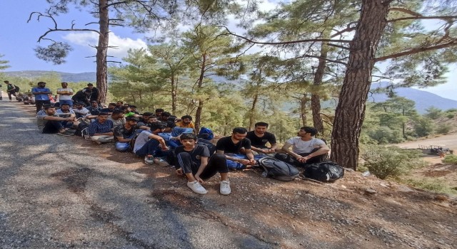 Seydikemerde ormanlık alanda 89 düzensiz göçmen yakalandı
