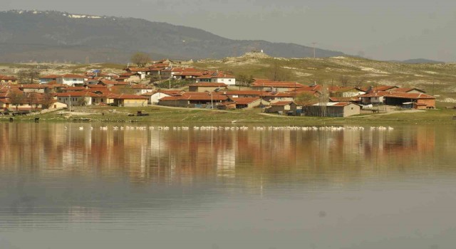 Seyitgazi ovasını sulayan Kunduzlar Barajında su seviyesi azaldı