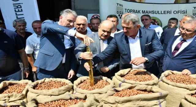Sezonun ilk fındığı TMO tarafından 56 TL 10 kuruştan alındı