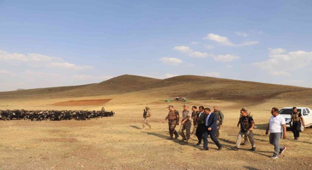 Siirtte 1700 rakımlı yaylada artık silah sesleri yerine insan sesleri yankılanıyor