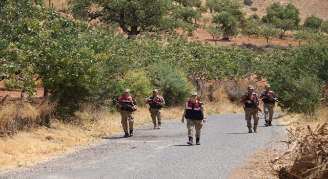 Siirtte jandarma, fıstık hırsızlığına karşı bağ ve bahçelerde kuş uçurtmuyor