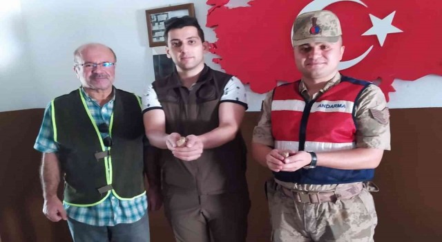 Siirtte kaçak avcıya para cezası