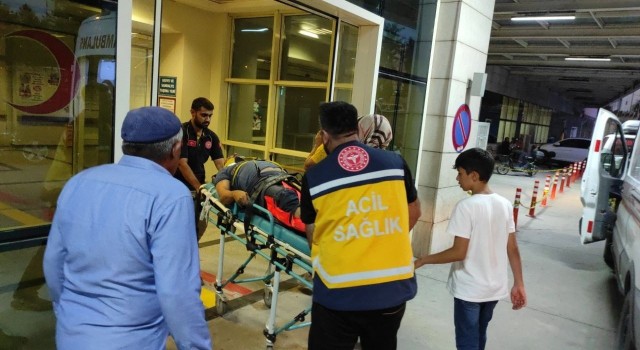 Siirtte odun yüklü kamyon devrildi: 6 yaralı