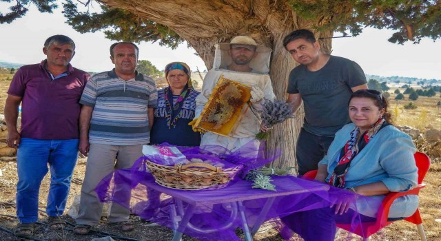 Silifkede lavanta balı üretimi yapıldı