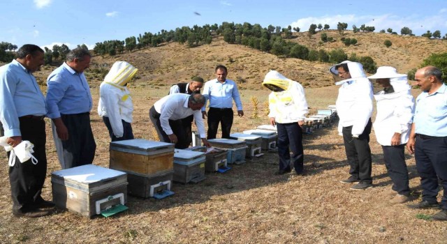 Sincikte bal sağım sezonu başladı