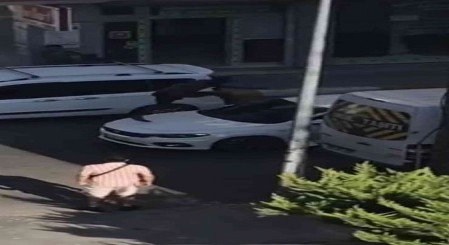 Sinir krizi geçirdi ortalığı birbirine kattı