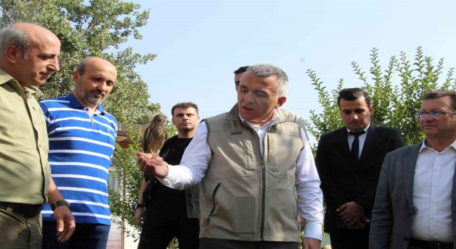 Şırnakta 5 yılda 249 tür yaban hayvanı tedavi edildi