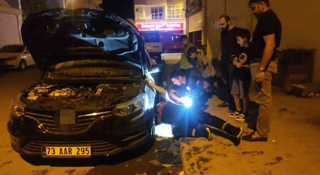 Şırnakta ilginç kedi kurtarma operasyonu: Kedi sesi açılarak araç kaputundan çıkartmaya çalıştılar