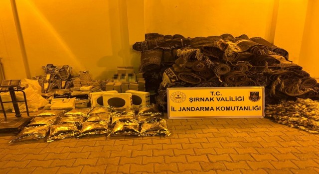 Şırnakta kaçakçılık ve asayiş operasyonu: 24 gözaltı