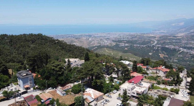 Soğukoluk Yaylasına yatırım yapın çağrısı