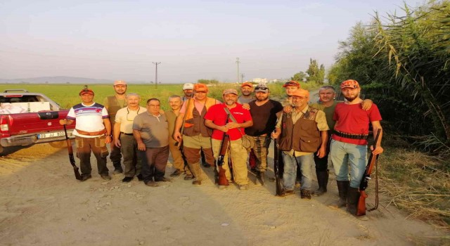 Sökede üreticinin korkulu rüyası domuzlara karşı sürek avı devam ediyor