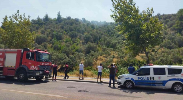 Sökedeki yangın kısa sürede kontrol altına alındı: 3 dönümlük arazi zarar gördü