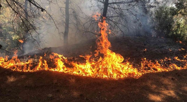 Spil Dağındaki orman yangını hızlı müdahaleyle söndürüldü