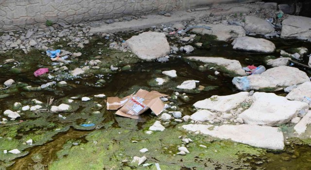 Suları çekilince Harşit Çayı çöplüğe döndü