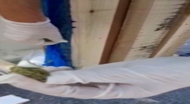 Tahta kafeste uyuşturucu ele geçirildi