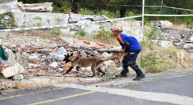Tekirdağda Köpekli Arama Kurtarma Tatbikatı