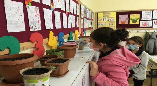 TEMA Vakfı Sinopta 1524 çocuğa ulaştı