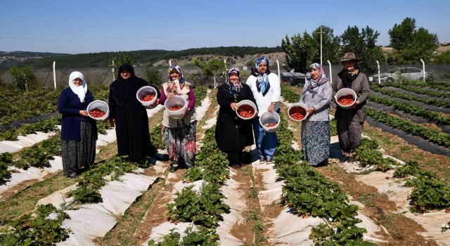 Tepebaşı destekliyor, kadın üreticiler kazanıyor
