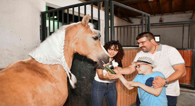 Tepebaşında özel bireylere yönelik adaptif binicilik eğitimleri