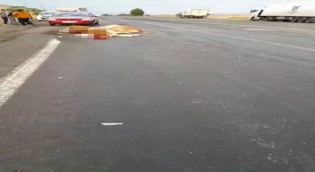 Tır, yoldan geçen büyükbaş hayvan sürüsüne daldı